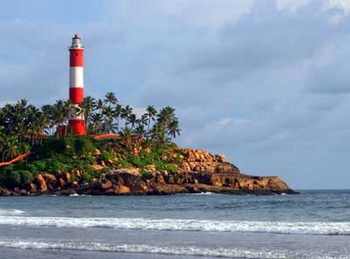 Wildlife tour of South India