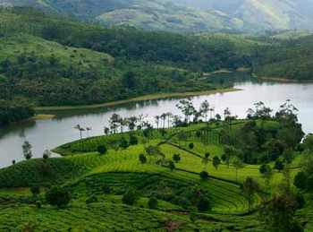 Exotic Kerala Tour 