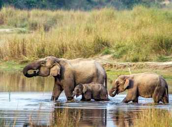 Glimpses of Nepal Tour