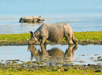 Pushkar Fair Tour with Golden Triangle